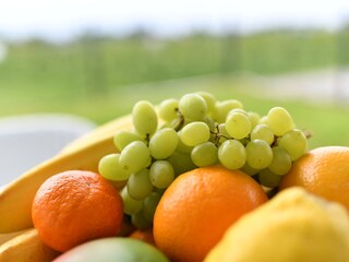 Apartamento de vacaciones Lindau am Bodensee Características 8