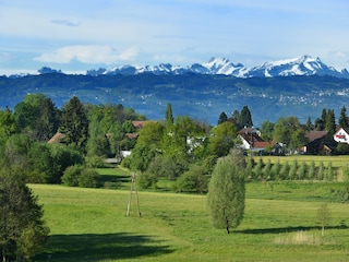 Fewo D Alpenblick Summertime