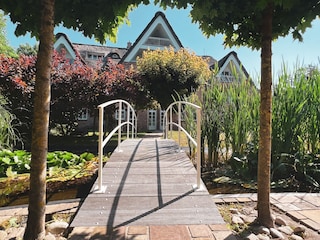 Brücke auf Insel