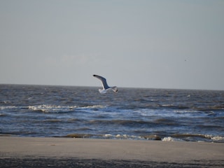 Strandbild