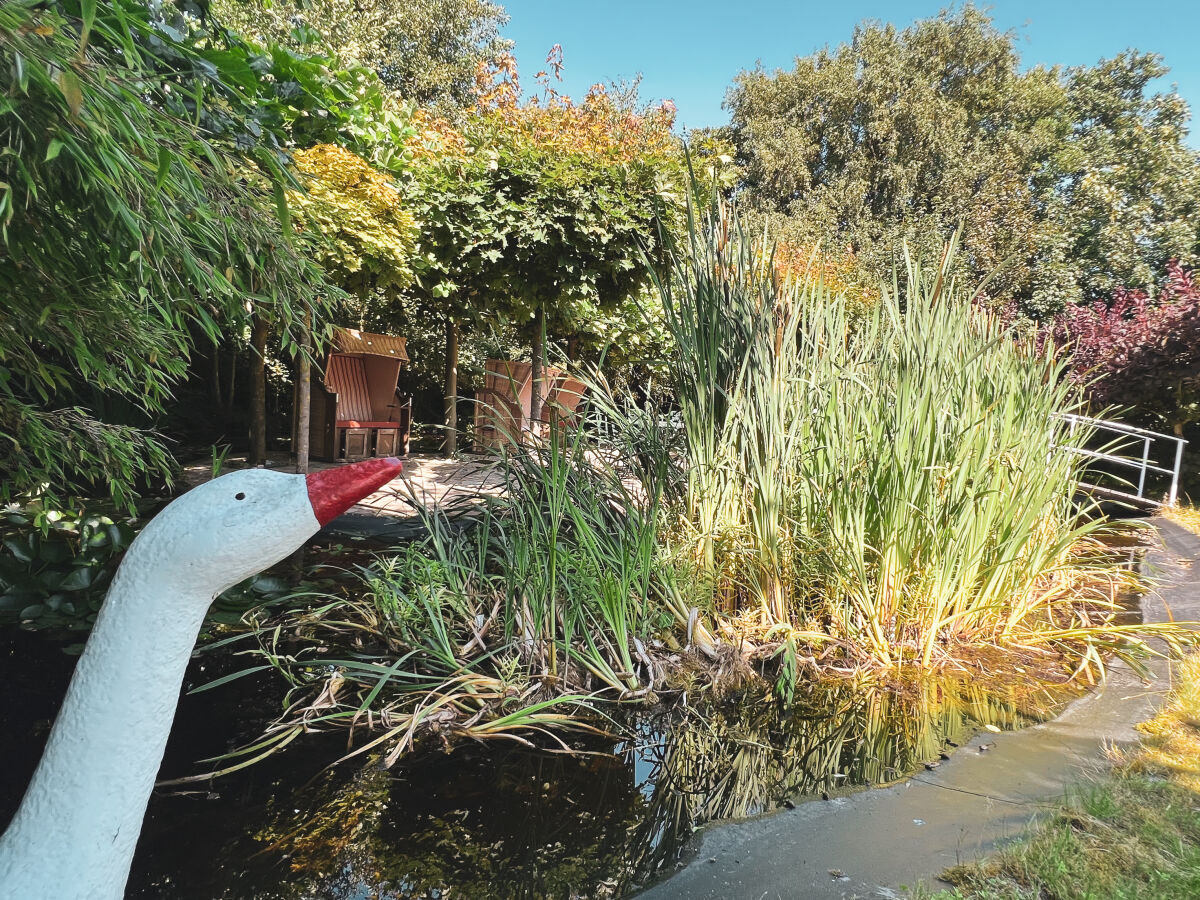 Teich mit Sonneninsel