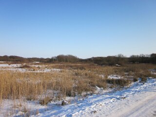 Vakantieappartement Callantsoog Omgeving 21