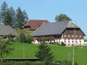 Ferienwohnung Höllental auf dem Biohof Michelthomilishof - Hinterzarten - image1