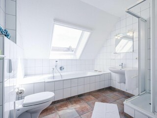 Rauchschwalbe-17