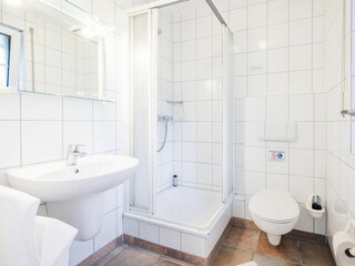 Rauchschwalbe-19