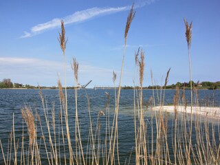 Schneiderhaken in Lindaunis
