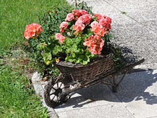 Fattoria Fusch Registrazione all'aperto 9