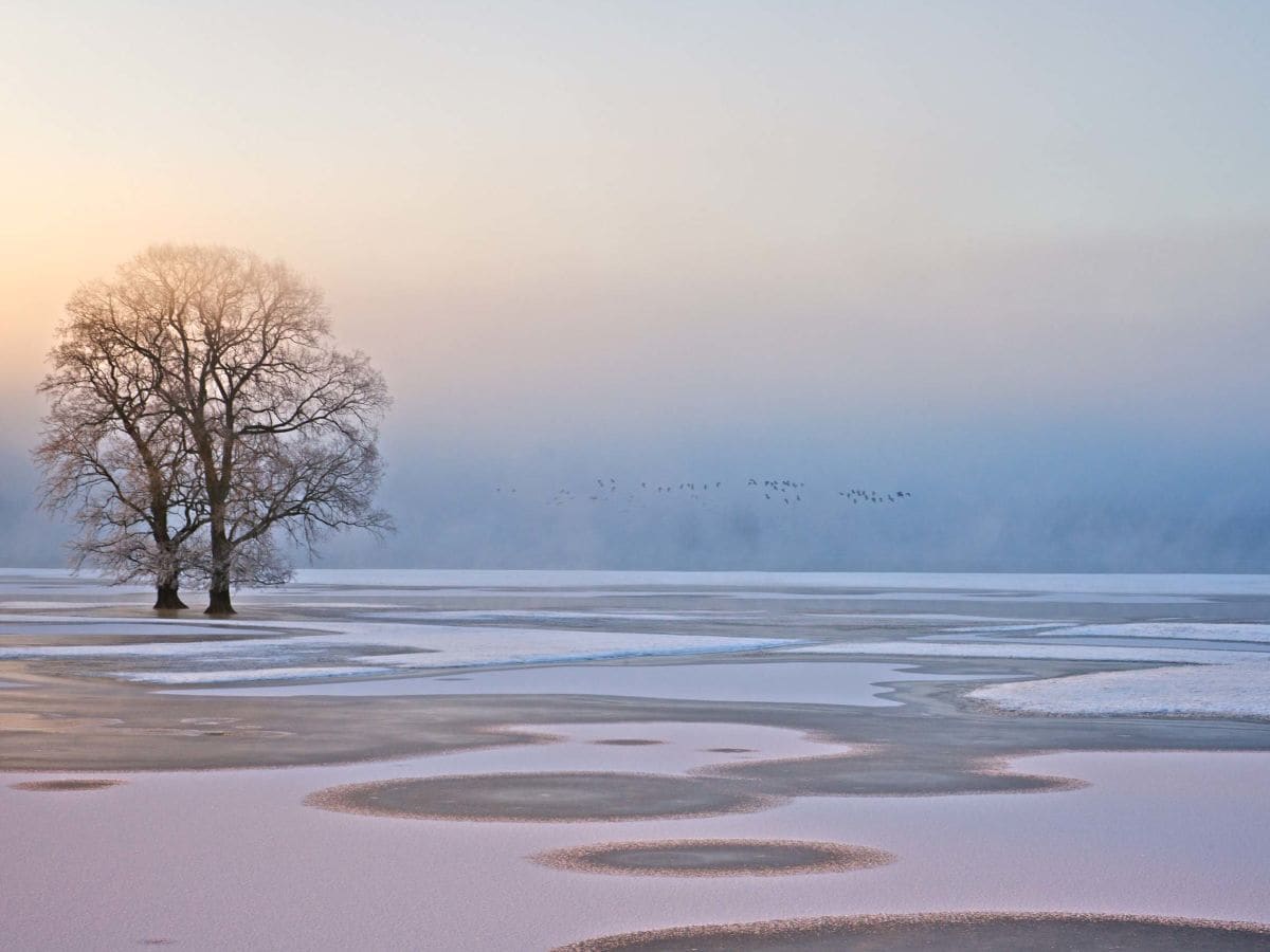 Knackende Eisschollen auf der Elbe - ein Erlebnis.