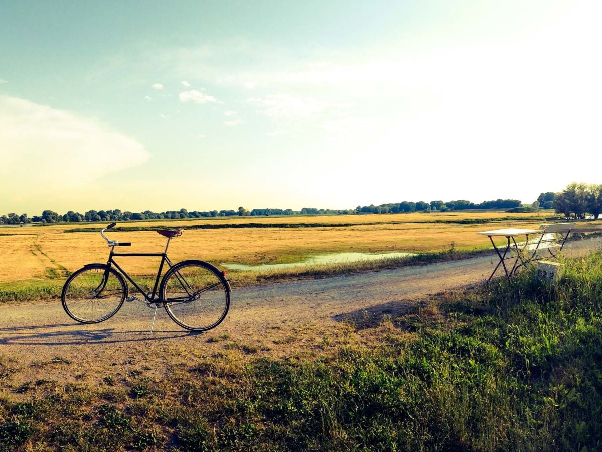 Radfahren auf dem Deich - perfekt zur Entspannung.