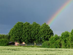 Holiday house Solgaard - Loit - image1