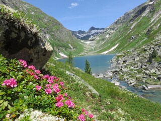 Appartamento per vacanze Matrei in Osttirol  32