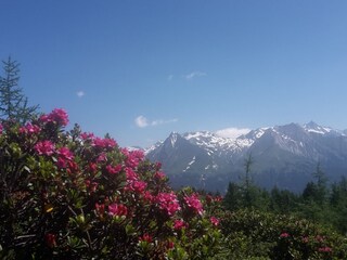 Appartamento per vacanze Matrei in Osttirol Ambiente 27