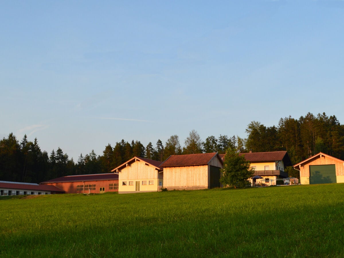 Ferien- und Reitanlage Tannenhof