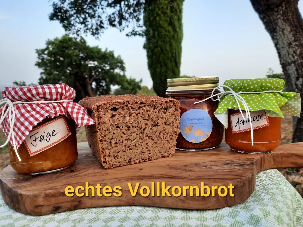 selbst gebackenes Brot, Wildschweinragù, Marmelade