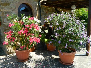 Appartement Monteverdi Marittimo Buitenaudio-opname 15