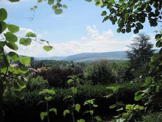 Schwarzwaldblick