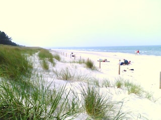 Prerow Strand