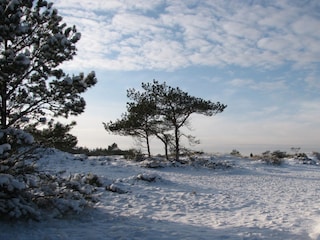 Prerow im Winter