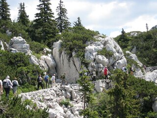 Casa per le vacanze Senj Ambiente 19