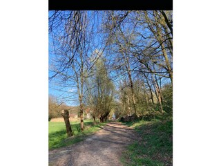 Wanderweg an der Nautzschke