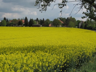 Einfach mal ausspannen