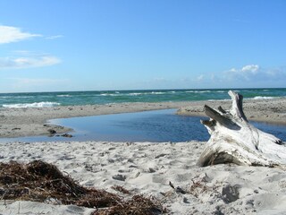 "Weststrand" in ca. 20 Min. per Rad durch den Wald