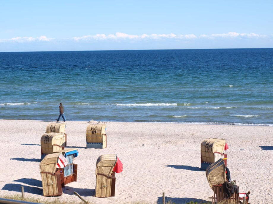Single frauen fehmarn