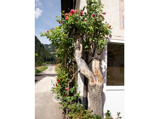 Appartamento per vacanze St. Christina Registrazione all'aperto 9