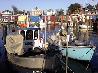 Hafen Niendorf mit Fischerbooten