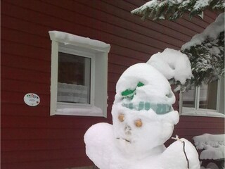 Ferienwohnung Hohegeiß Umgebung 14