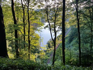 Ferienwohnung Hohegeiß Umgebung 21
