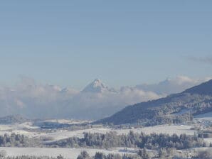 Alpenstern Finy Ferienwohnung (L) - Oy-Mittelberg - image1