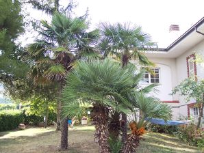 Ferienwohnung dei Fiori mit Poolbenutzung - Montalto delle Marche - image1
