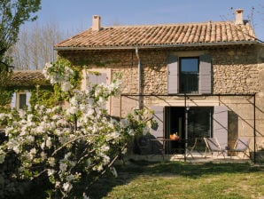 met terras, grote tuin en whirlpool - 507 APT