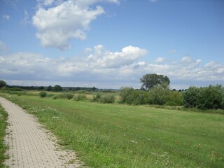Elbdeich bei Bleckede mit Blick in die Elbtalaue