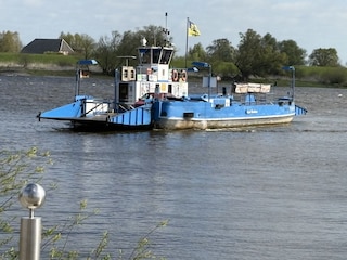 Elbfähre im Bleckeder Hafen