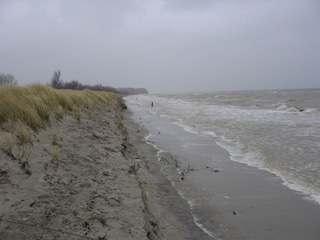 Herbst auf der Insel Poel