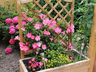 Blumen