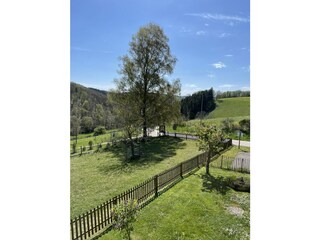 Blick vom Haus ins Tal.