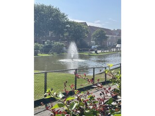 Appartamento per vacanze Egmond aan Zee Caratteristiche 14