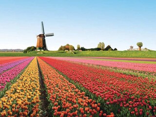 Appartamento per vacanze Egmond aan Zee Ambiente 20