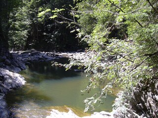 Wilde Flusslandschaft in der Starzlach