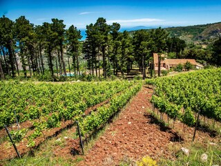 Villa San Marco d'Alunzio Entorno 20