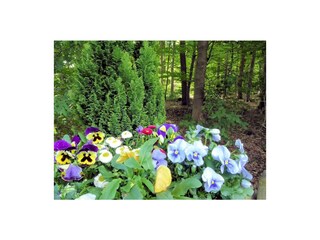 Maison de vacances Sögel Enregistrement extérieur 3