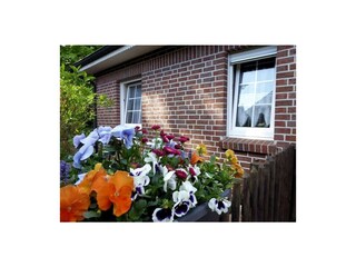 Maison de vacances Sögel Enregistrement extérieur 5