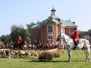 Vakantiehuis Sögel Omgeving 19