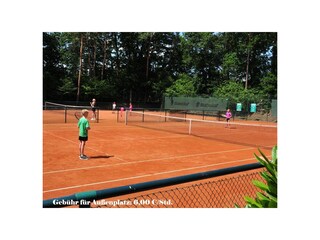 Angebot Tennis