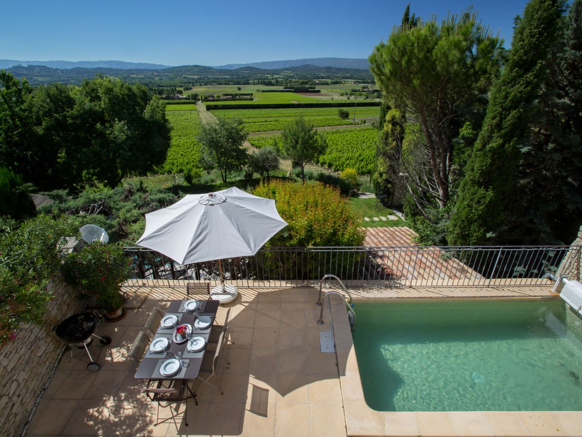 at the foot of the house, the vineyards