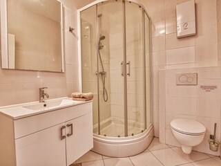 Villa Ravni Features 33