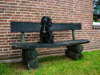 Casa per le vacanze Sögel Registrazione all'aperto 7